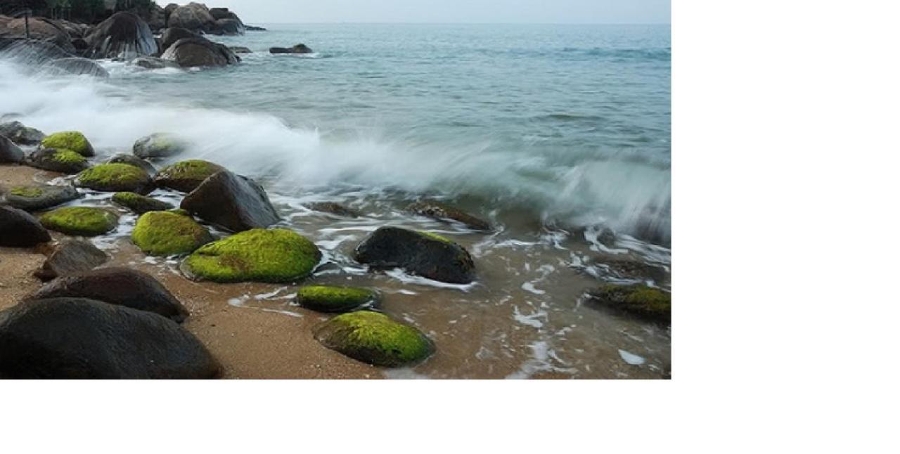 Da Nang Minh Hai ภายนอก รูปภาพ