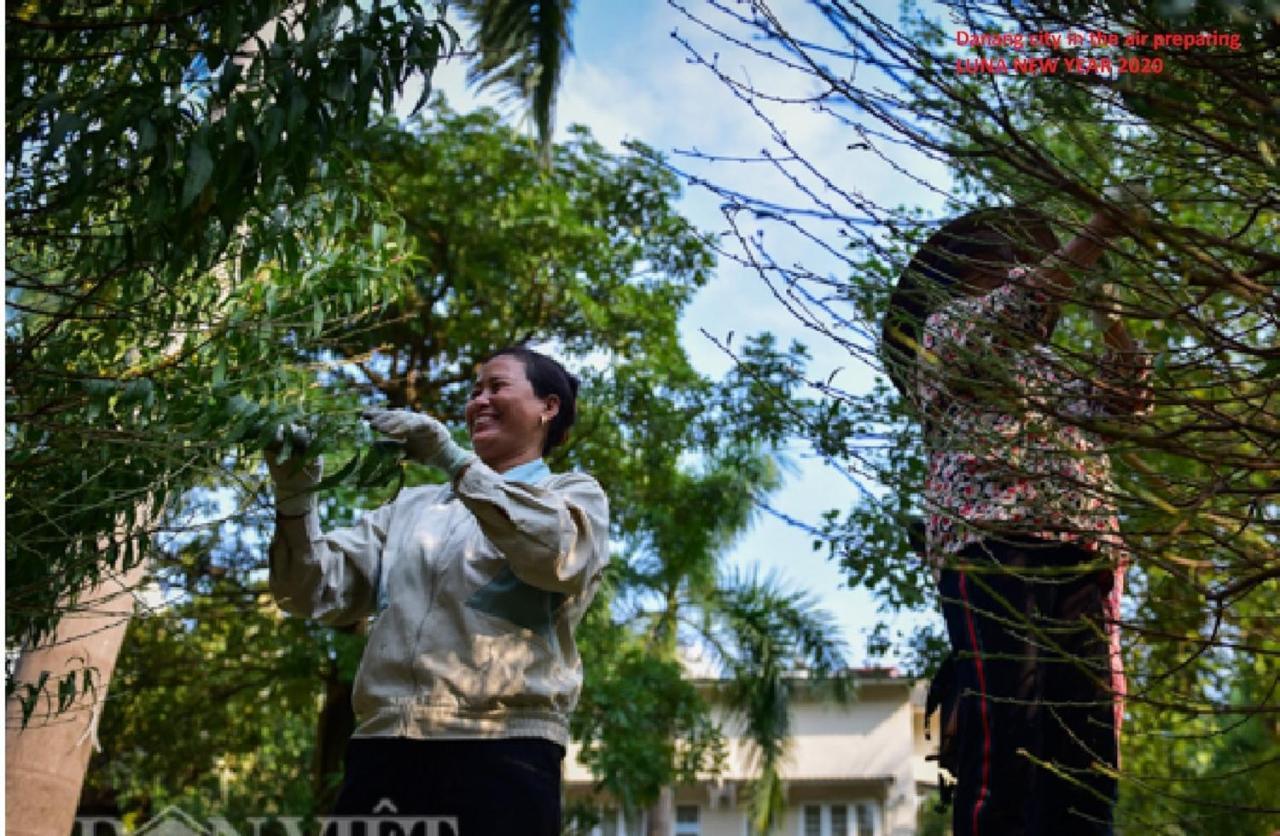Da Nang Minh Hai ภายนอก รูปภาพ